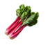 Swiss chard nutrition facts